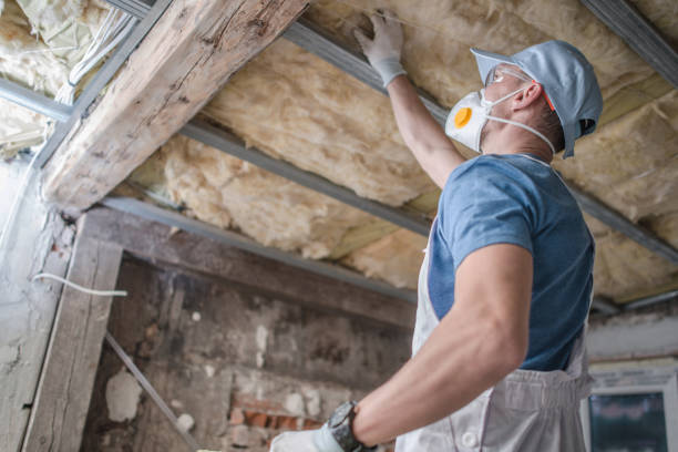 Best Insulation Contractors for Homes  in Cameron, MO