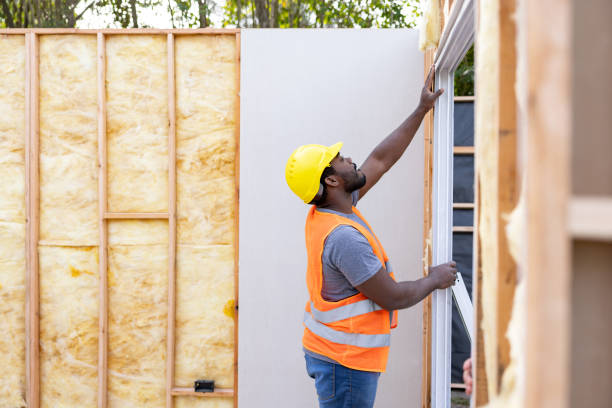 Best Insulation Replacement Services  in Cameron, MO