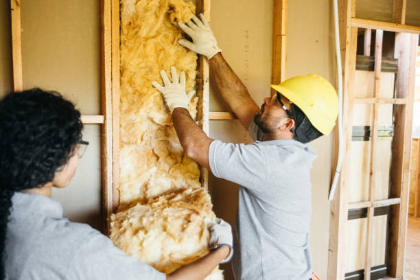 Best Insulation Removal  in Cameron, MO