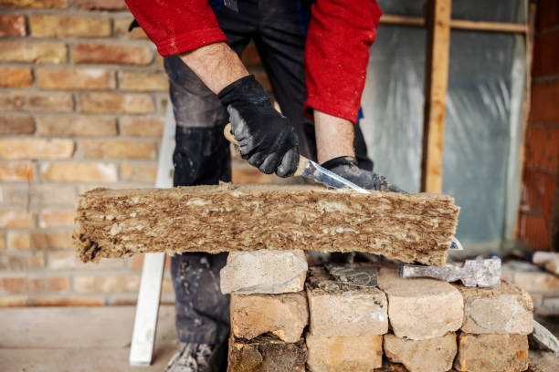 Best Insulation Removal  in Cameron, MO