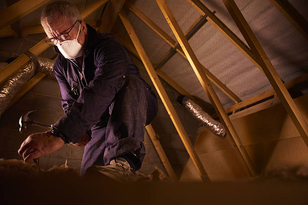Best Insulation Contractor Near Me  in Cameron, MO